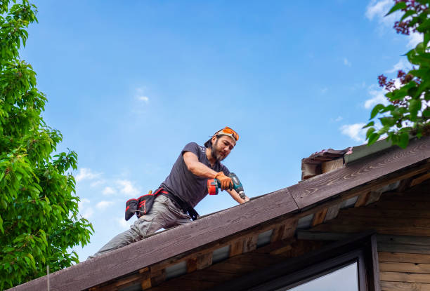 Best Sheet Metal Roofing  in Highland Acres, DE